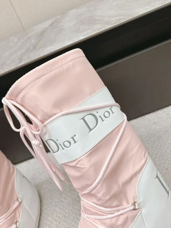 Dior Shoe 